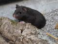 Frank-Hose-Kassel-Zoohaus-Tiergeschäft-