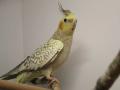 Frank-Hose-Kassel-Zoohaus-Tiergeschäft-