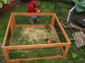 Meerschweinchen und Kaninchenzubehör Zoohaus Süd