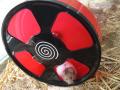 Hamster Laufrad