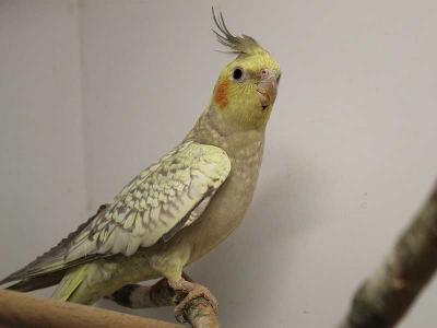 Frank-Hose-Kassel-Zoohaus-Tiergeschäft-