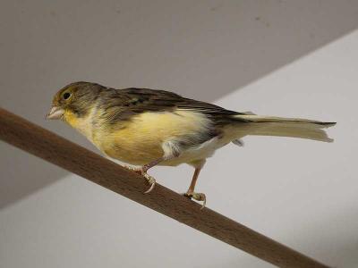 Frank Hose Zoohaus Kassel