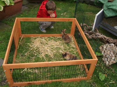 Meerschweinchen und Kaninchenzubehör Zoohaus Süd