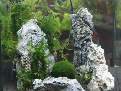 Zoogeschäft Kassel, Zoohaus Süd, Aquaristik, Nano