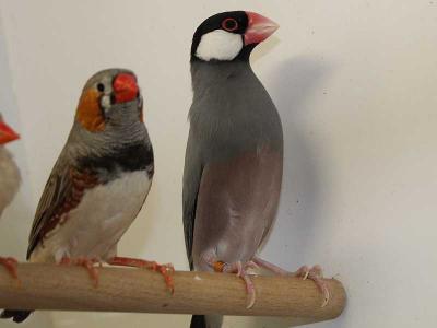 Frank-Hose-Zoogeschäft-Kassel-am-Weinberg