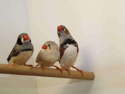 Frank-Hose-Zoogeschäft-Kassel-am-Weinberg